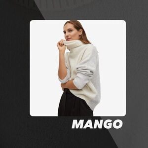 EUC Mango Colorblocked Turtleneck Sweater